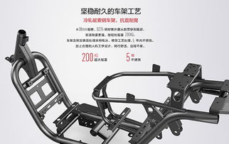 立馬電動車box s,屬于你的時尚大氣 高顏值電動車